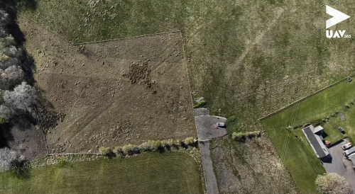 Coatbridge Farmland Survey